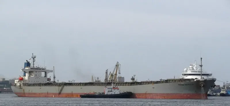 PANAMAX NEREID Bulk Carrier IMO 9231389 photo 10
