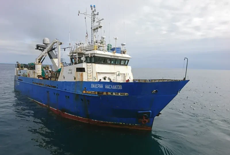 VALERIY MASLAKOV General Cargo IMO 9231391 photo 3