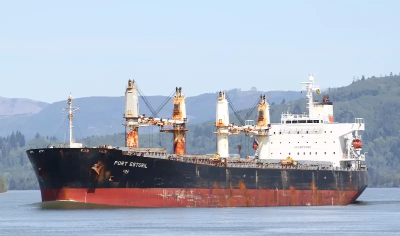 V GLORY Bulk Carrier IMO 9231561 photo 3