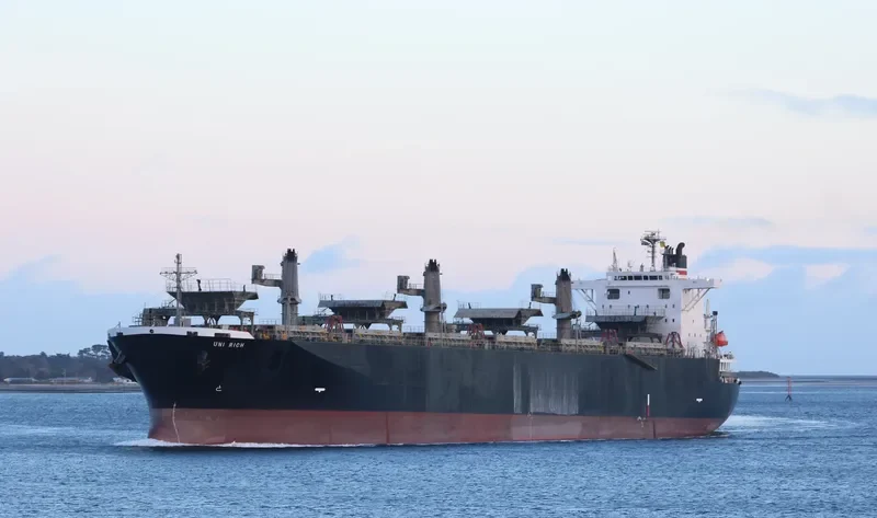 THANH THANH DAT 8999 Bulk Carrier IMO 9231585