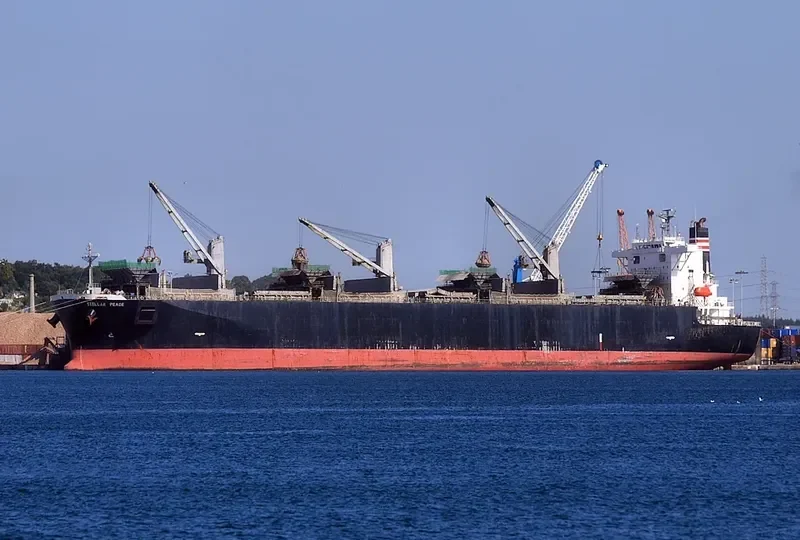 THANH THANH DAT 8999 Bulk Carrier IMO 9231585 photo 4