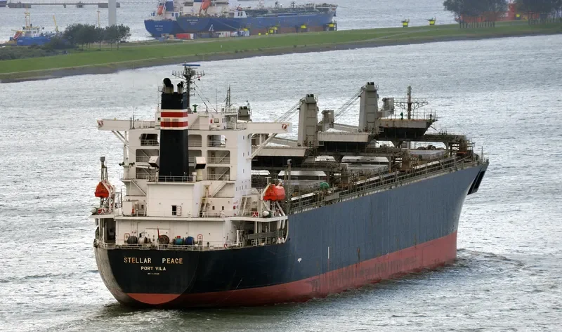 THANH THANH DAT 8999 Bulk Carrier IMO 9231585 photo 5