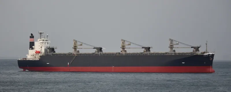 THANH THANH DAT 8999 Bulk Carrier IMO 9231585 photo 10