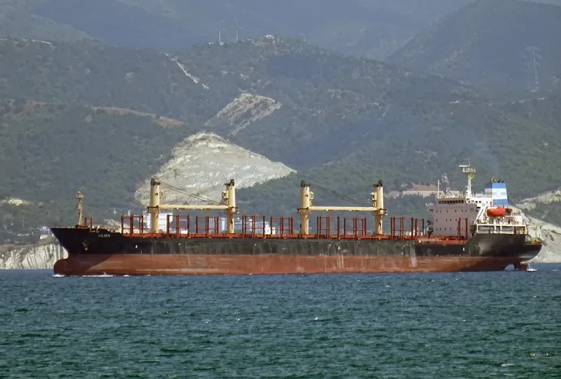 ALMA Bulk Carrier IMO 9231676 photo 5