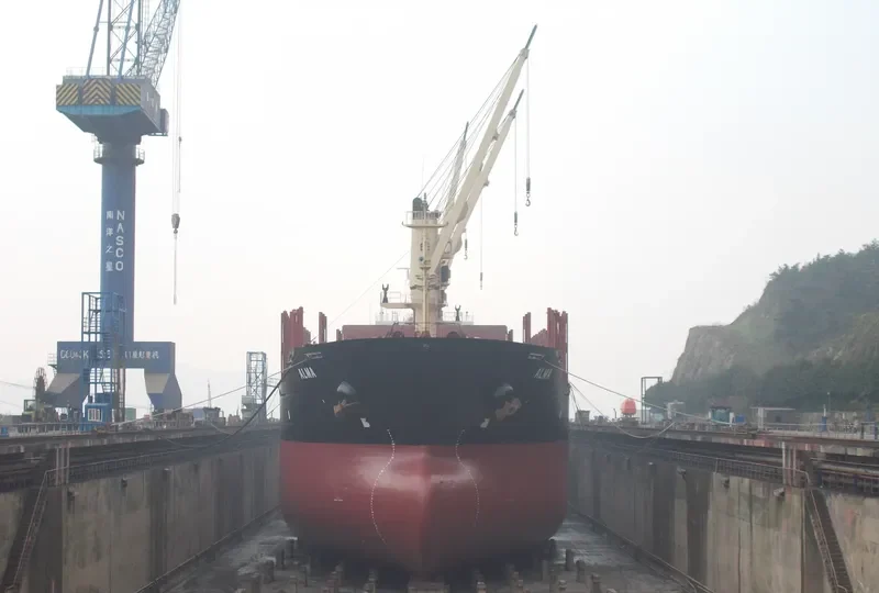 ALMA Bulk Carrier IMO 9231676 photo 6