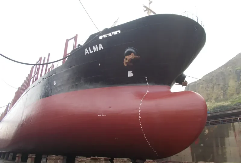 ALMA Bulk Carrier IMO 9231676 photo 7