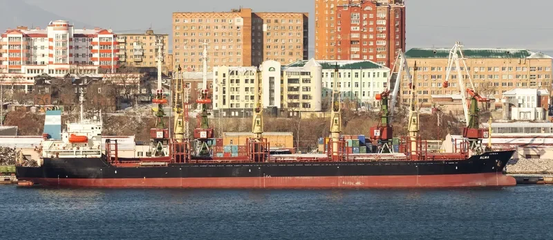 ALMA Bulk Carrier IMO 9231676 photo 8