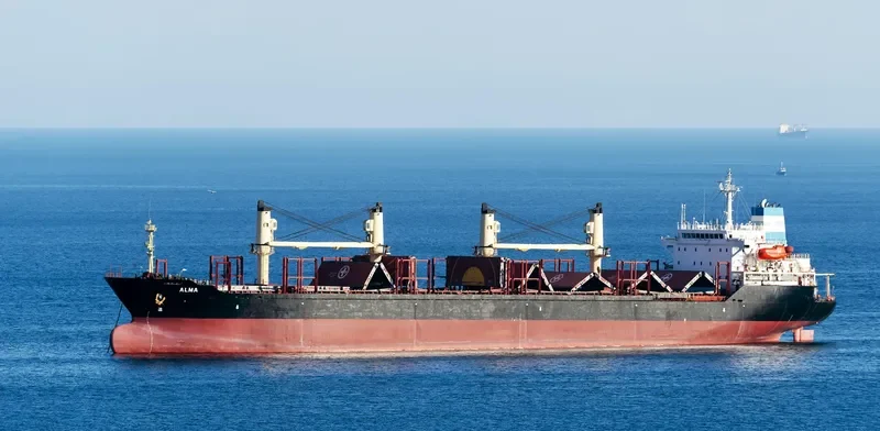 ALMA Bulk Carrier IMO 9231676 photo 9