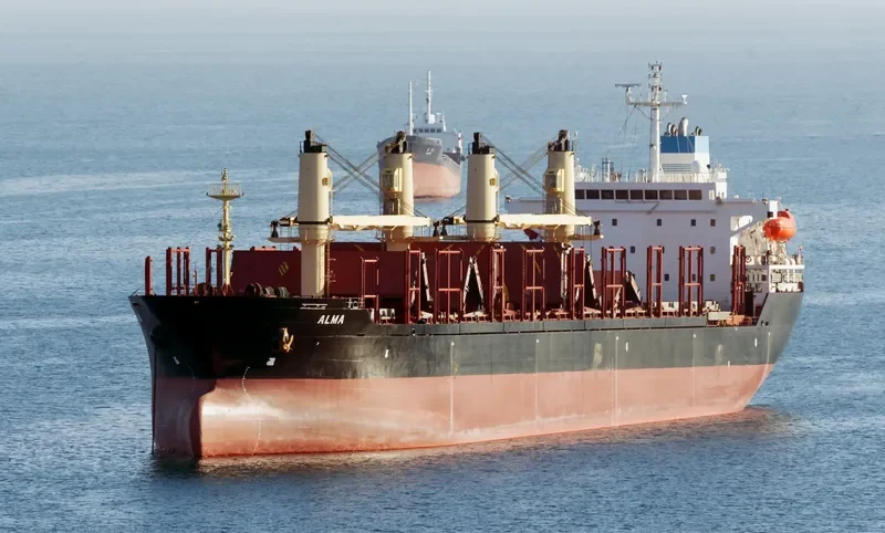 ALMA Bulk Carrier IMO 9231676 photo 10