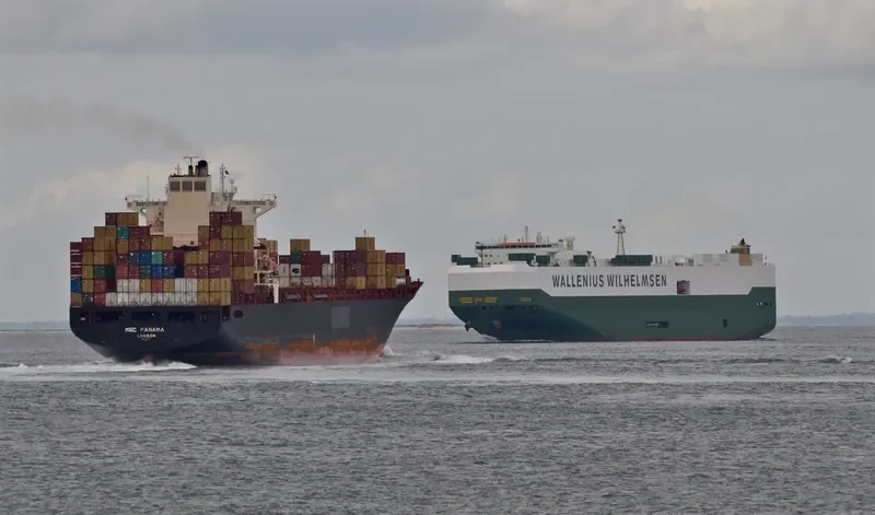 MSC PANAMA Container Ship IMO 9231781 photo 2