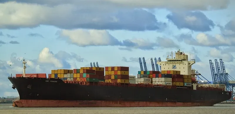 MSC PANAMA Container Ship IMO 9231781 photo 7
