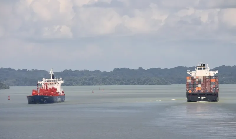 ZIM VIRGINIA Container Ship IMO 9231808