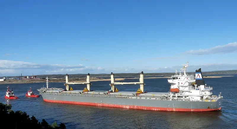 ERO L Bulk Carrier IMO 9231999