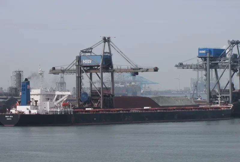 WINNING ENDURANCE Bulk Carrier IMO 9232058 photo 2