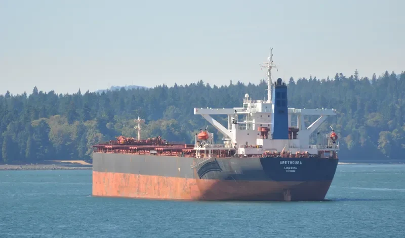 ARETHOUSA Bulk Carrier IMO 9232060 photo 9