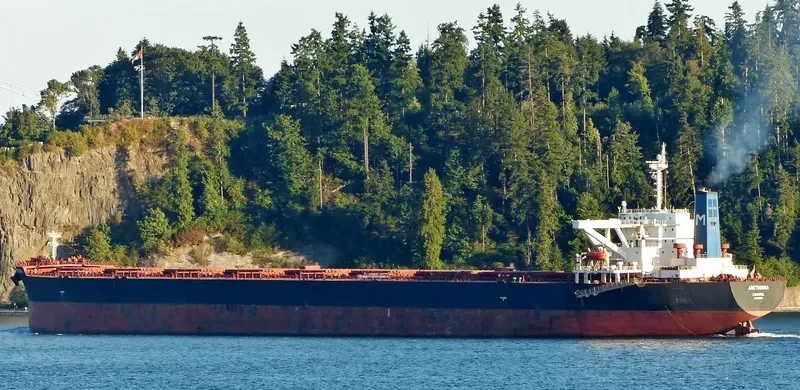 ARETHOUSA Bulk Carrier IMO 9232060 photo 10