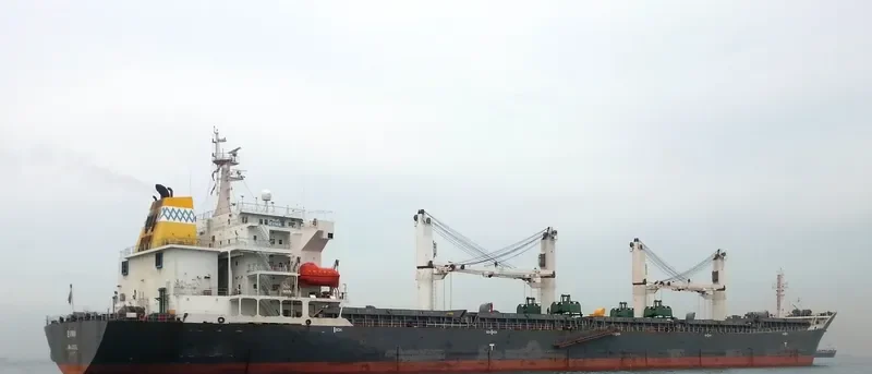 EVNIA Bulk Carrier IMO 9232163