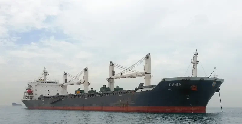 EVNIA Bulk Carrier IMO 9232163 photo 2