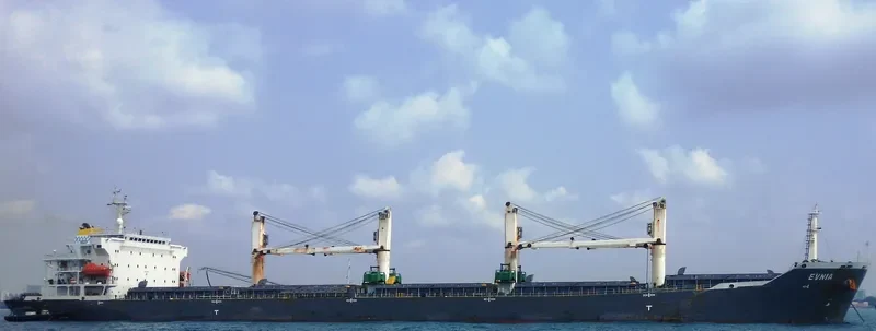 EVNIA Bulk Carrier IMO 9232163 photo 3