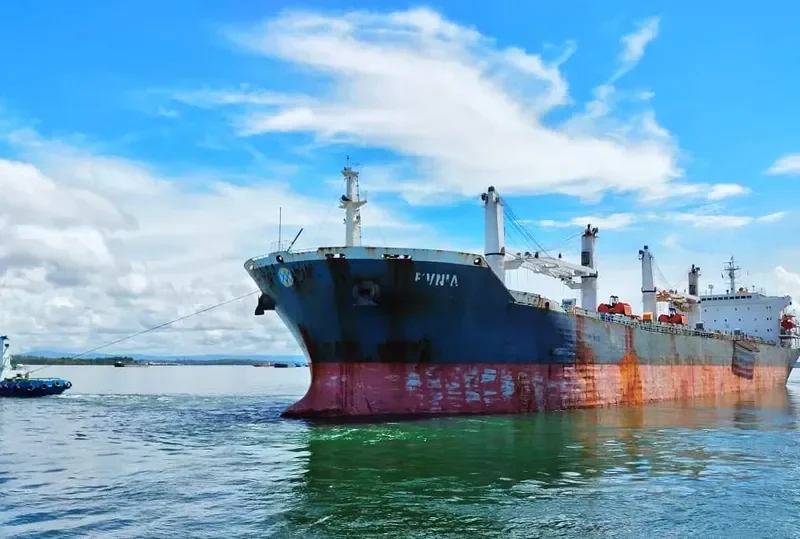 EVNIA Bulk Carrier IMO 9232163 photo 5