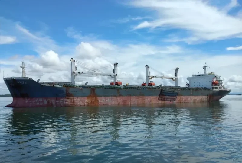 EVNIA Bulk Carrier IMO 9232163 photo 6