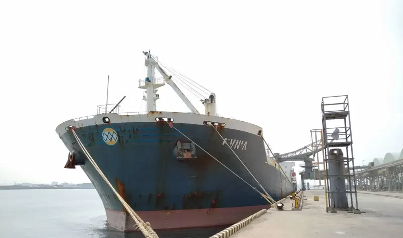 EVNIA Bulk Carrier IMO 9232163 photo 8