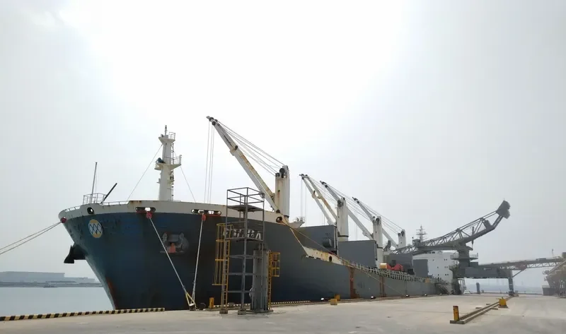 EVNIA Bulk Carrier IMO 9232163 photo 9