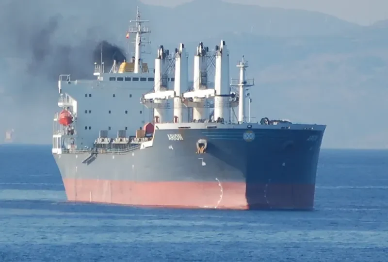 ARION Bulk Carrier IMO 9232175 photo 4