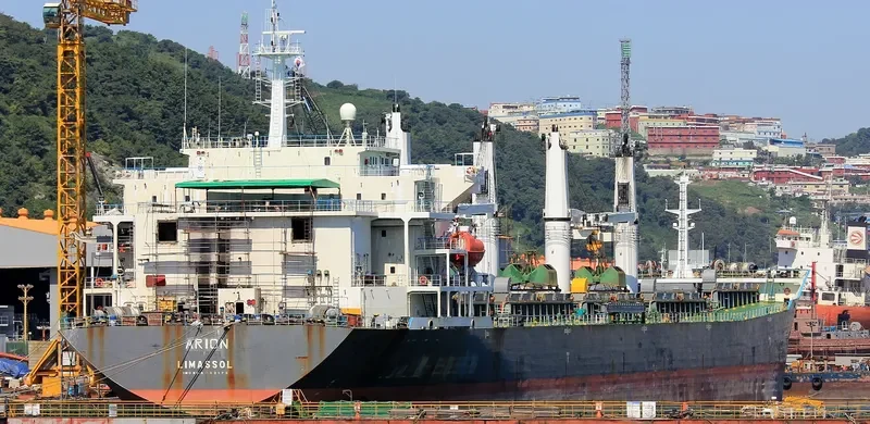 ARION Bulk Carrier IMO 9232175 photo 8