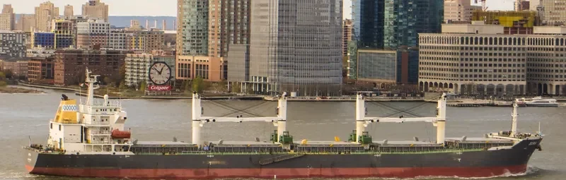 TAI HARMONY Bulk Carrier IMO 9232187