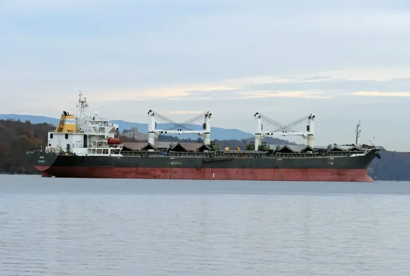 TAI HARMONY Bulk Carrier IMO 9232187 photo 2