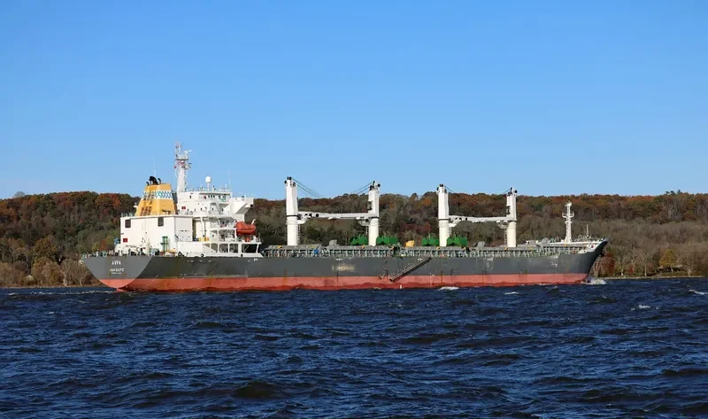 TAI HARMONY Bulk Carrier IMO 9232187 photo 3