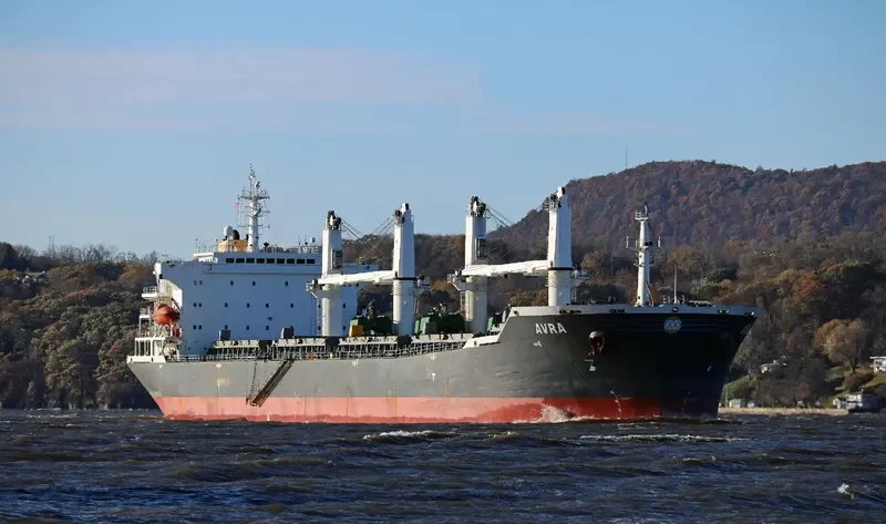 TAI HARMONY Bulk Carrier IMO 9232187 photo 4