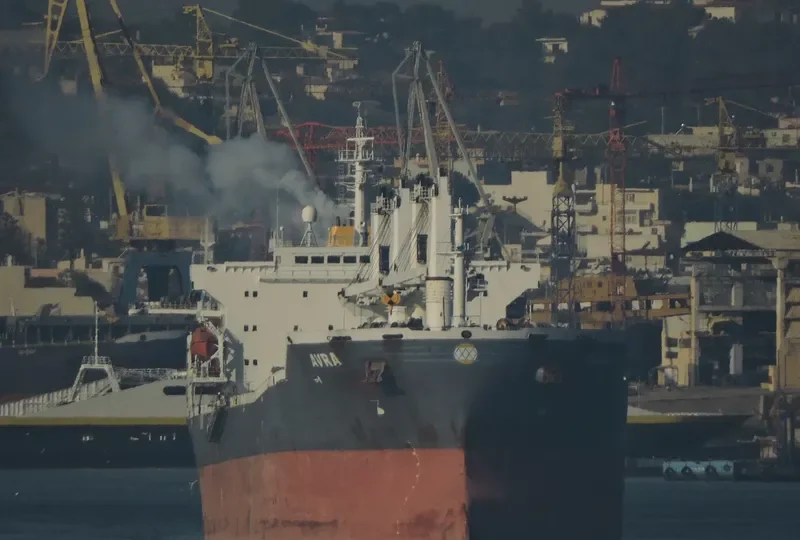 TAI HARMONY Bulk Carrier IMO 9232187 photo 5