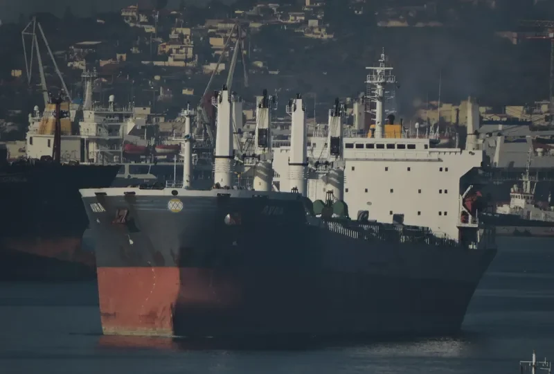 TAI HARMONY Bulk Carrier IMO 9232187 photo 6