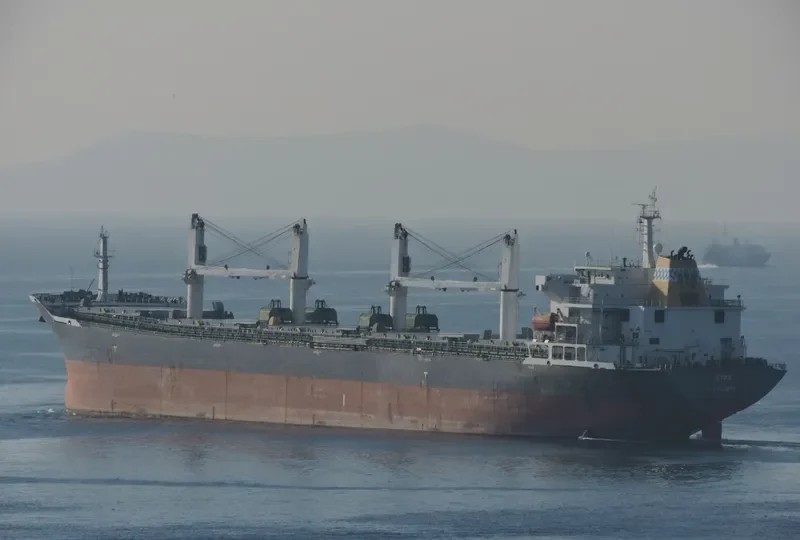 TAI HARMONY Bulk Carrier IMO 9232187 photo 7