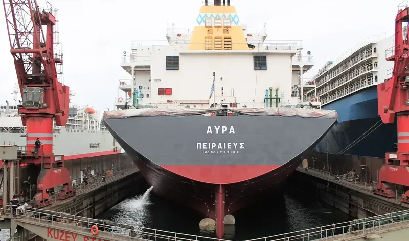 TAI HARMONY Bulk Carrier IMO 9232187 photo 8