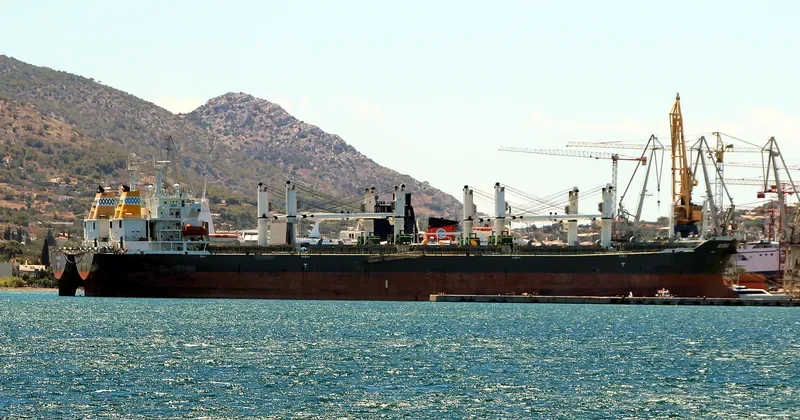 TAI HARMONY Bulk Carrier IMO 9232187 photo 9