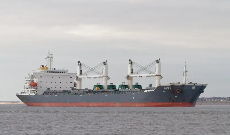 TAI HARMONY Bulk Carrier IMO 9232187 photo 10