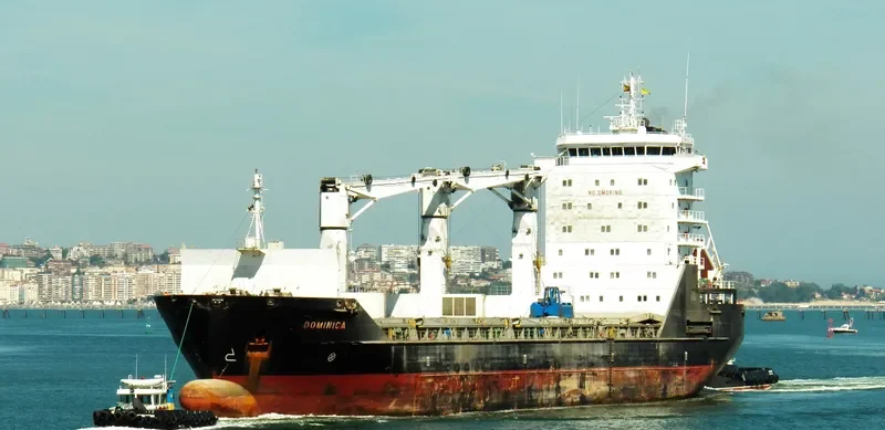 DOMINICA General Cargo IMO 9232204 photo 7