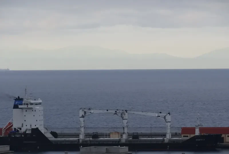 DOMINICA General Cargo IMO 9232204 photo 9