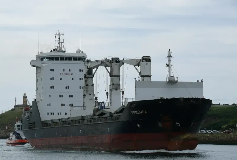 DOMINICA General Cargo IMO 9232204 photo 10