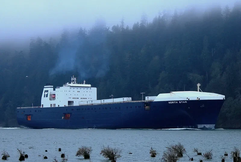 NORTH STAR Ro-Ro IMO 9232280 photo 7