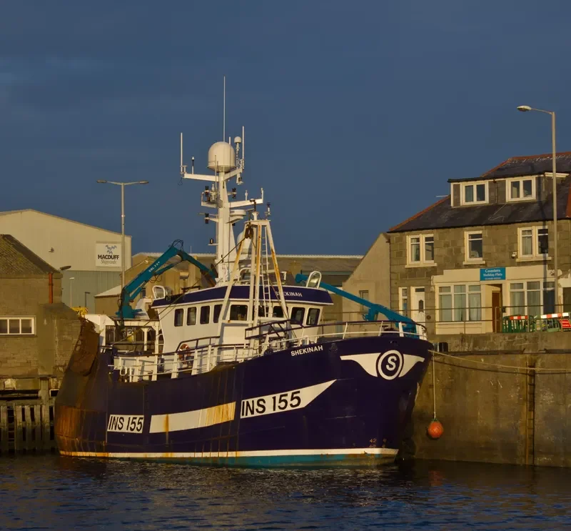 SHEKINAH INS155 General Cargo IMO 9232345 photo 7