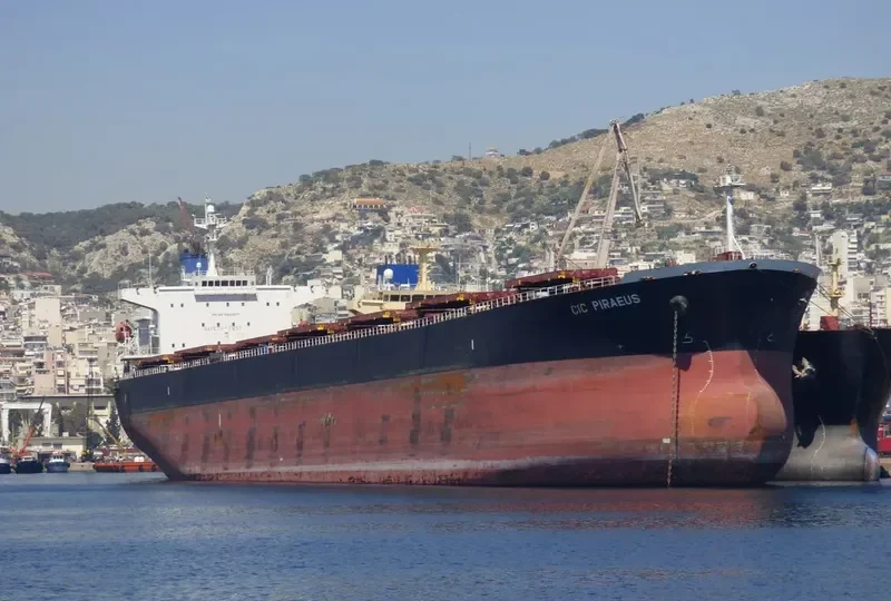 CHANG YANG JIN AN Bulk Carrier IMO 9232371 photo 7