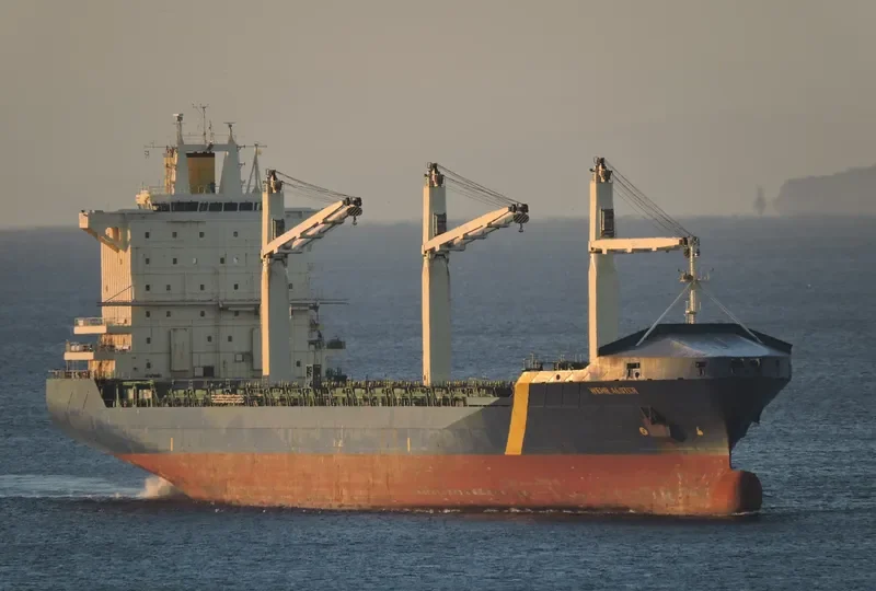ALSTER Container Ship IMO 9232383 photo 2
