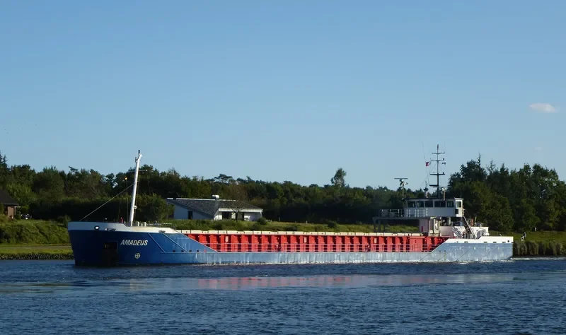 AMADEUS General Cargo IMO 9232498 photo 10
