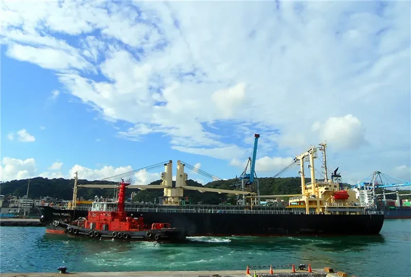 TOSEI MARU General Cargo IMO 9232541 photo 2