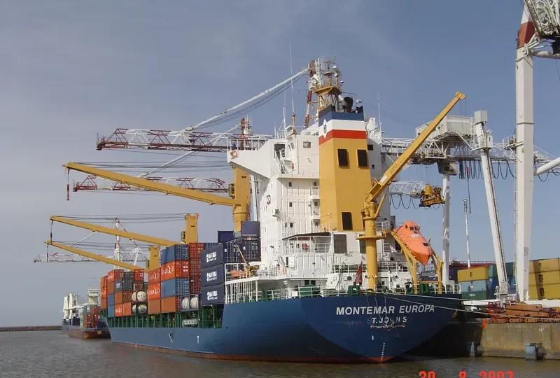 MSC ALICE Container Ship IMO 9232632 photo 5