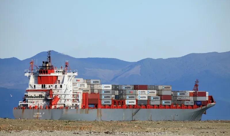 LIWIA P Container Ship IMO 9232759